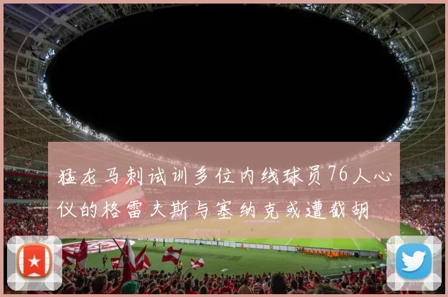 猛龙马刺试训多位内线球员76人心仪的格雷夫斯与塞纳克或遭截胡