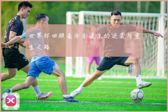 世界杯回顾南非东道主的逆袭与重生之路